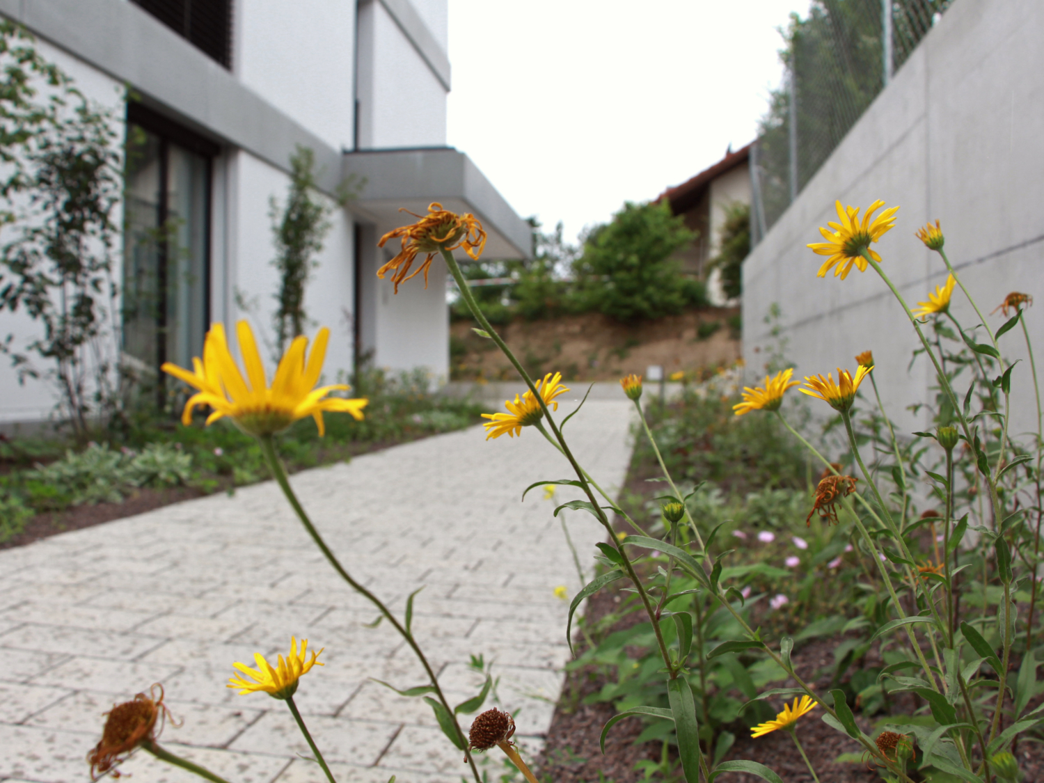 01 Wohnüberbauung Riedmatt