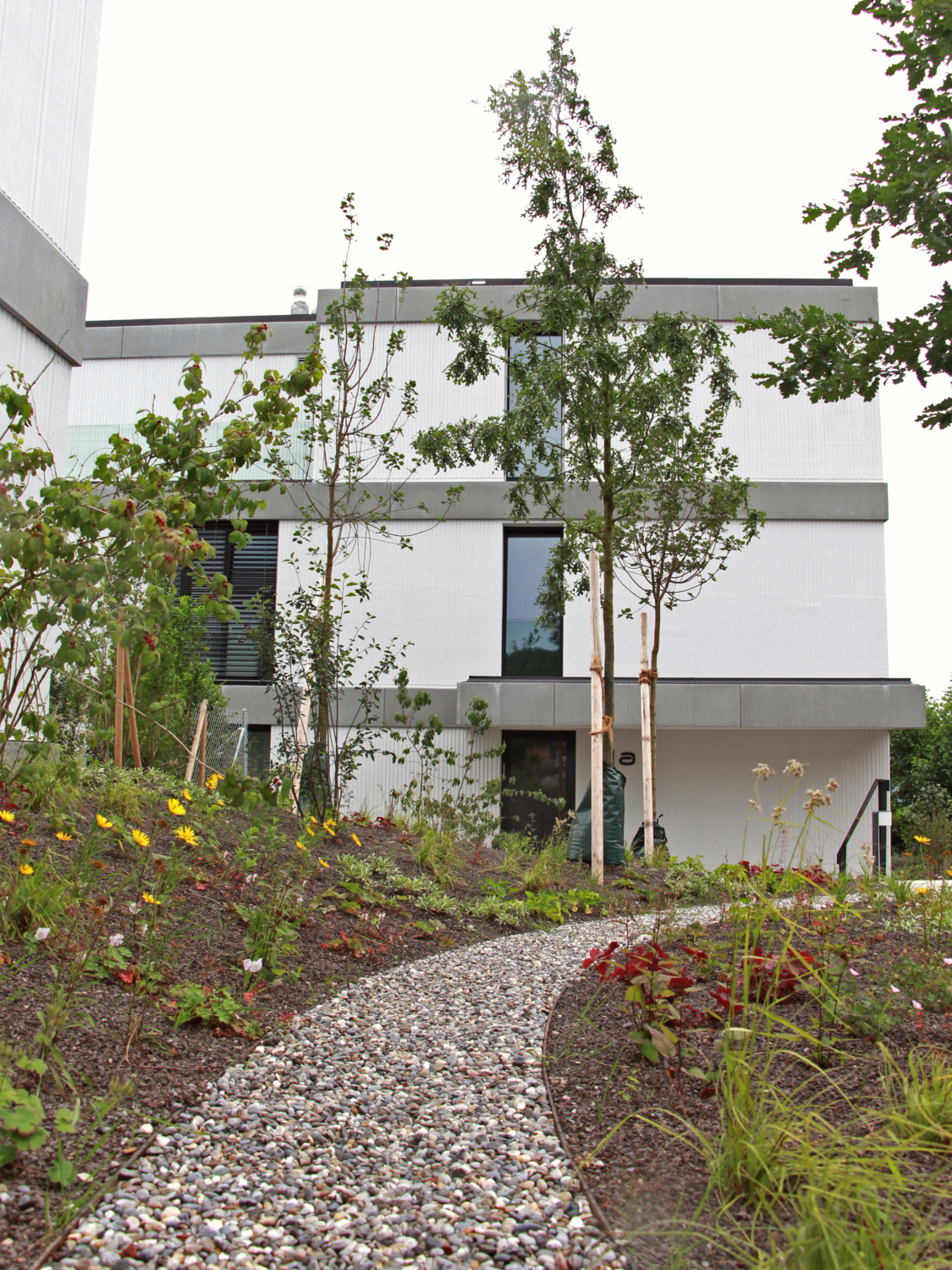 02 Wohnüberbauung Riedmatt