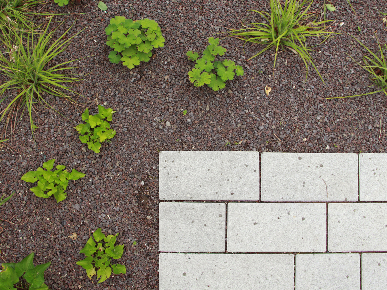 03 Wohnüberbauung Riedmatt