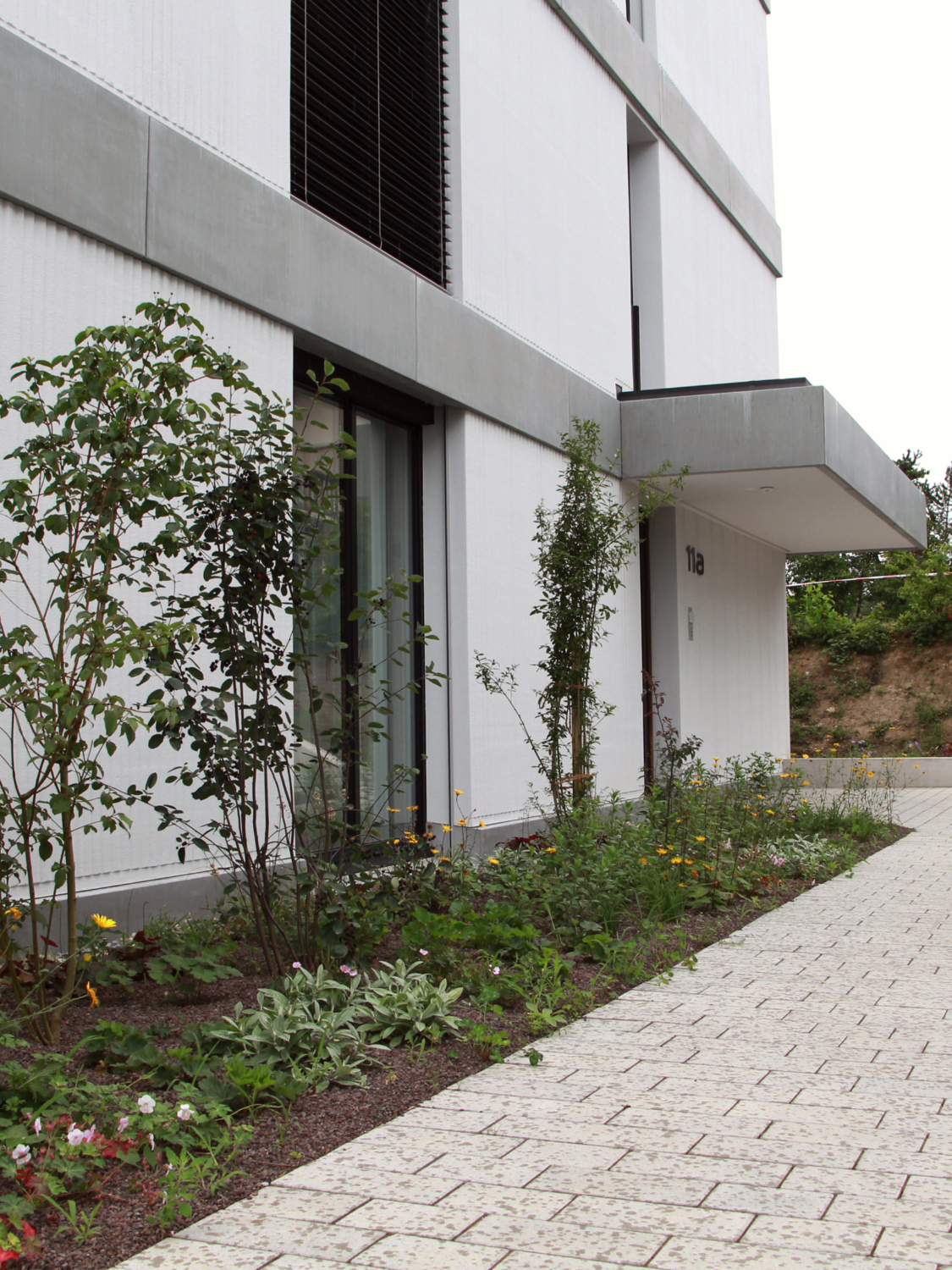 04 Wohnüberbauung Riedmatt