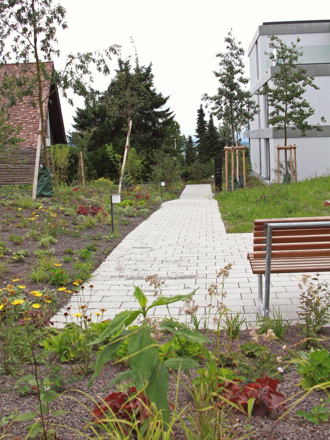 11 Wohnüberbauung Riedmatt