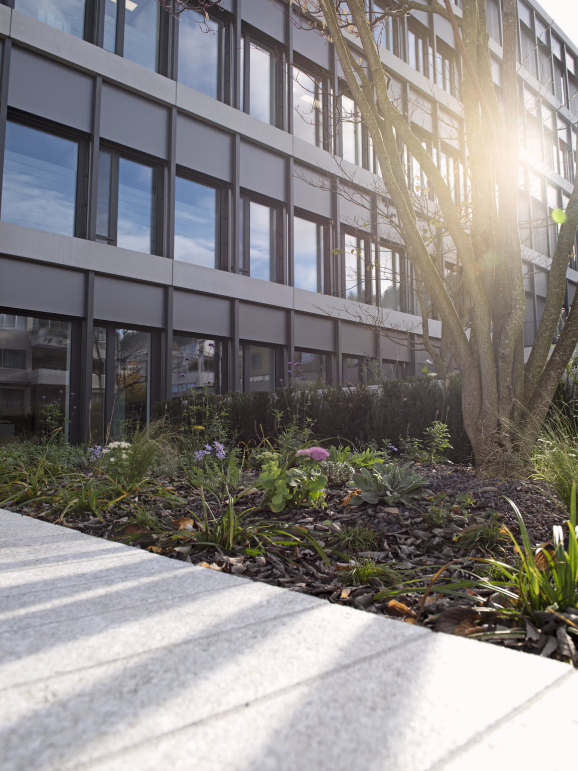 See-Spital Horgen - gardens