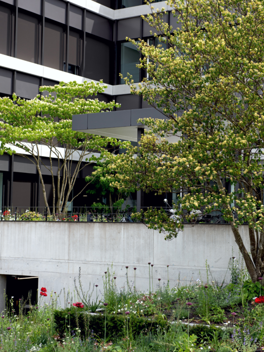 02 See-Spital Horgen