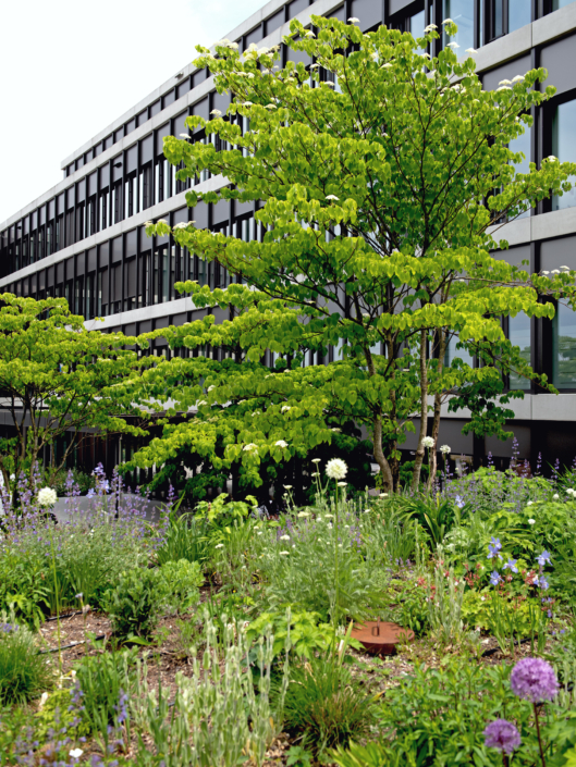 03 See-Spital Horgen