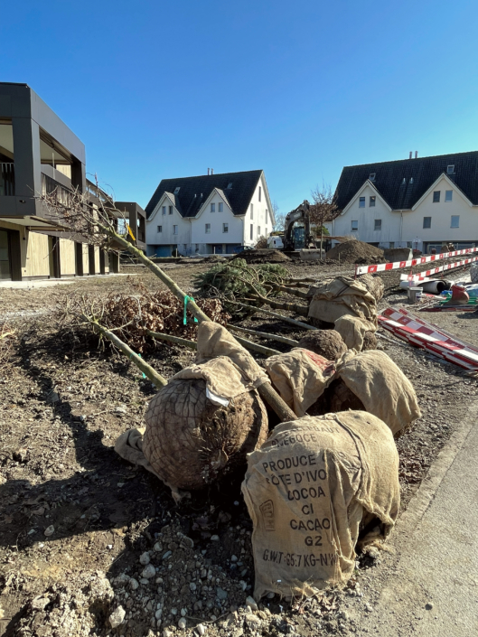 10 MFH Untere Schwandenstrasse
