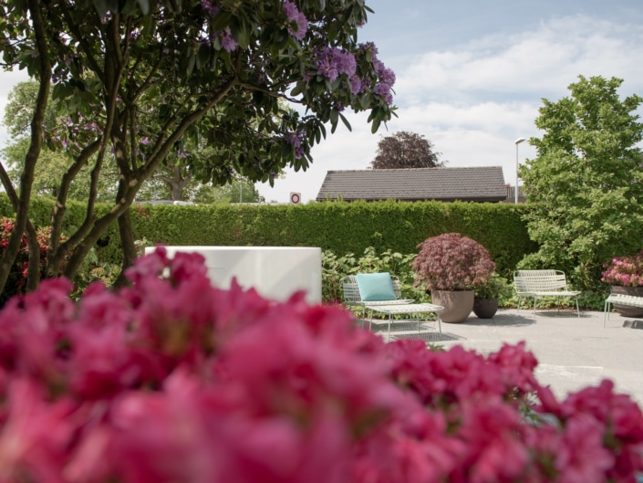 Wellness im Garten Privsatgarten mit Hecke