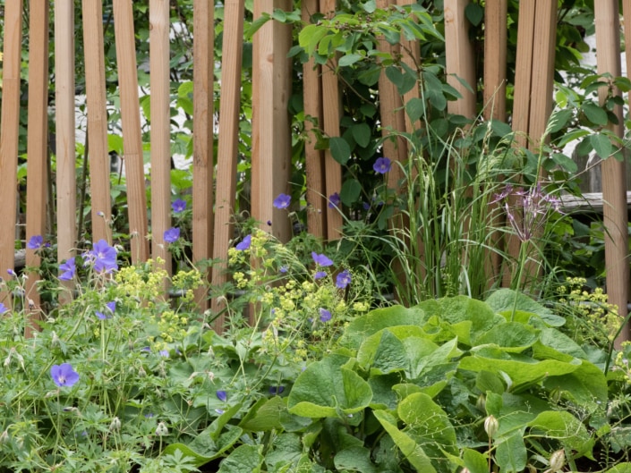Stadtperle Sichtschutz aus Holz