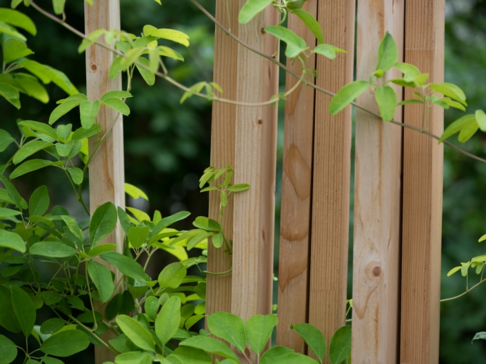 Stadtperle Bewachsene Holztrennwand