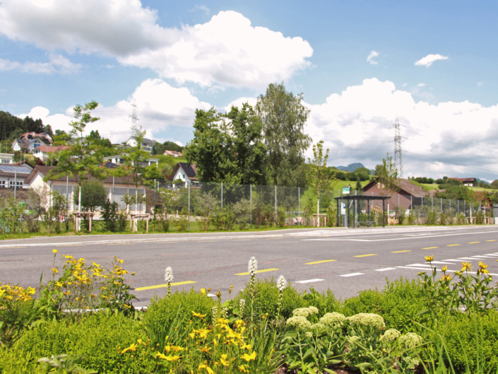 01 Strassenbegrünung Breiten