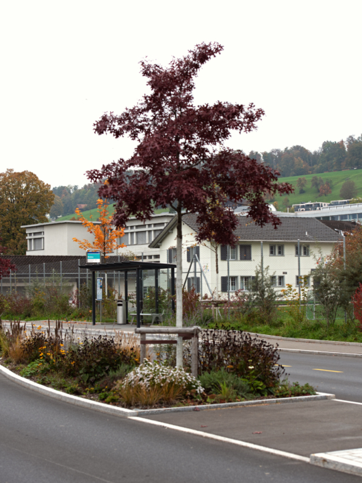 01 Strassenbegrünung Breiten