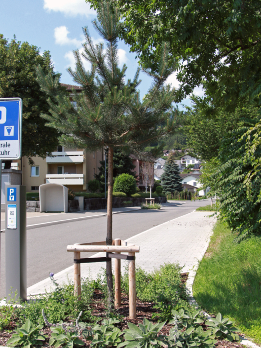 02 Strassenbegrünung Breiten