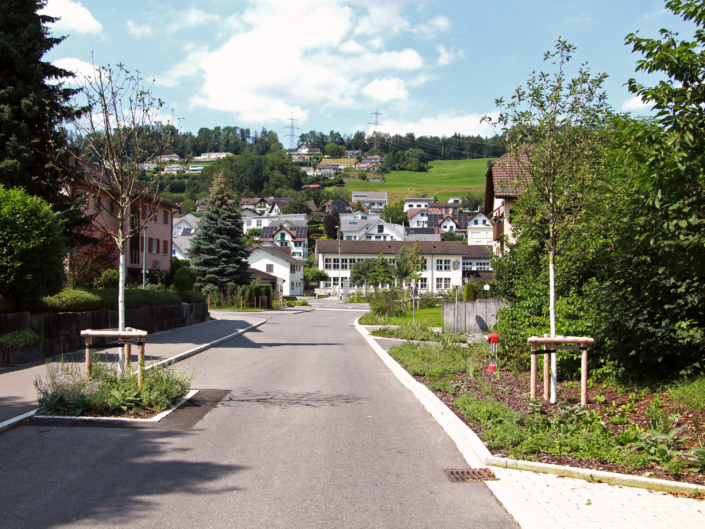 03 Strassenbegrünung Breiten