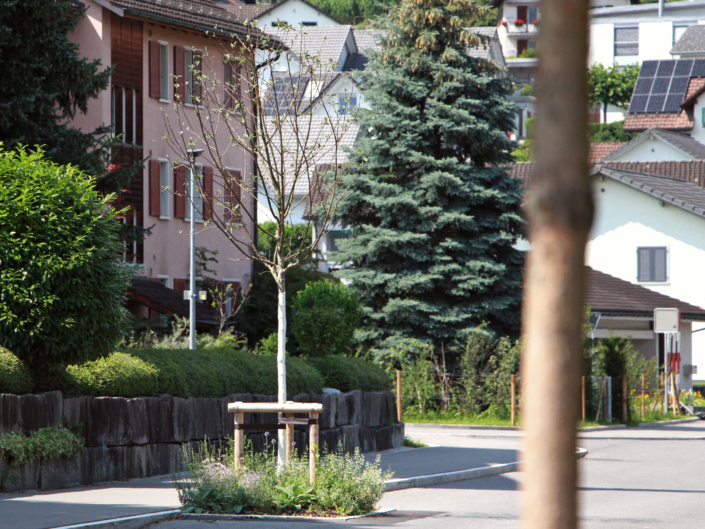 04 Strassenbegrünung Breiten