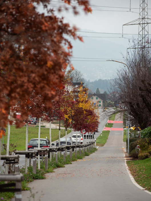 04 Strassenbegrünung Breiten