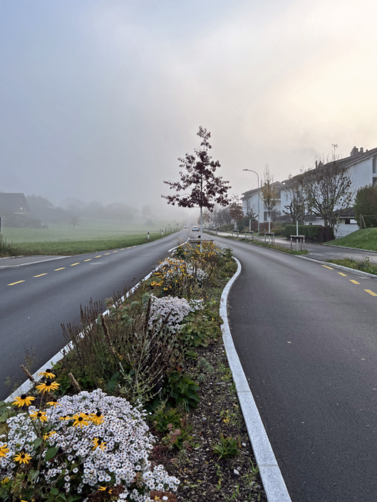 05 Strassenbegrünung Breiten