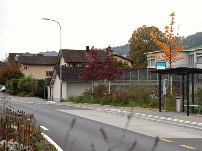 05 Strassenbegrünung Breiten