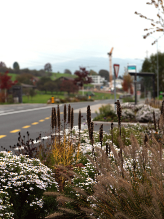 08 Strassenbegrünung Breiten