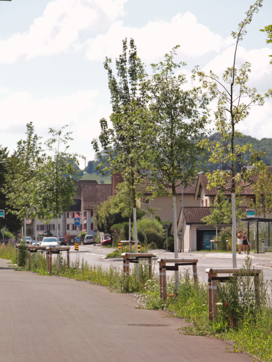 09 Strassenbegrünung Breiten
