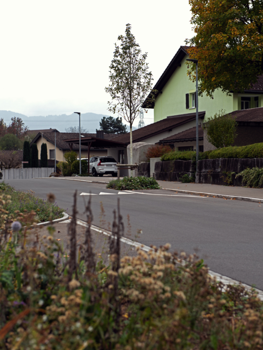 09 Strassenbegrünung Breiten